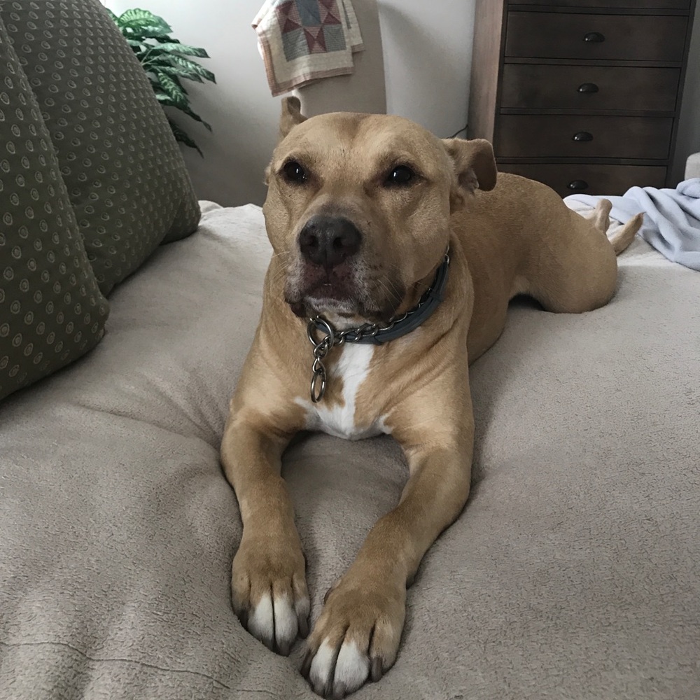 Meet your Posher, Taylor